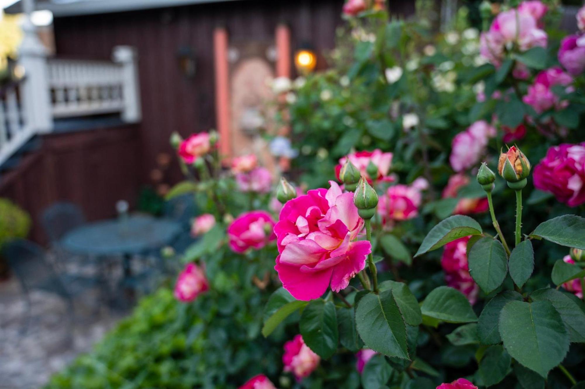 Gunn House Hotel Sonora Dış mekan fotoğraf